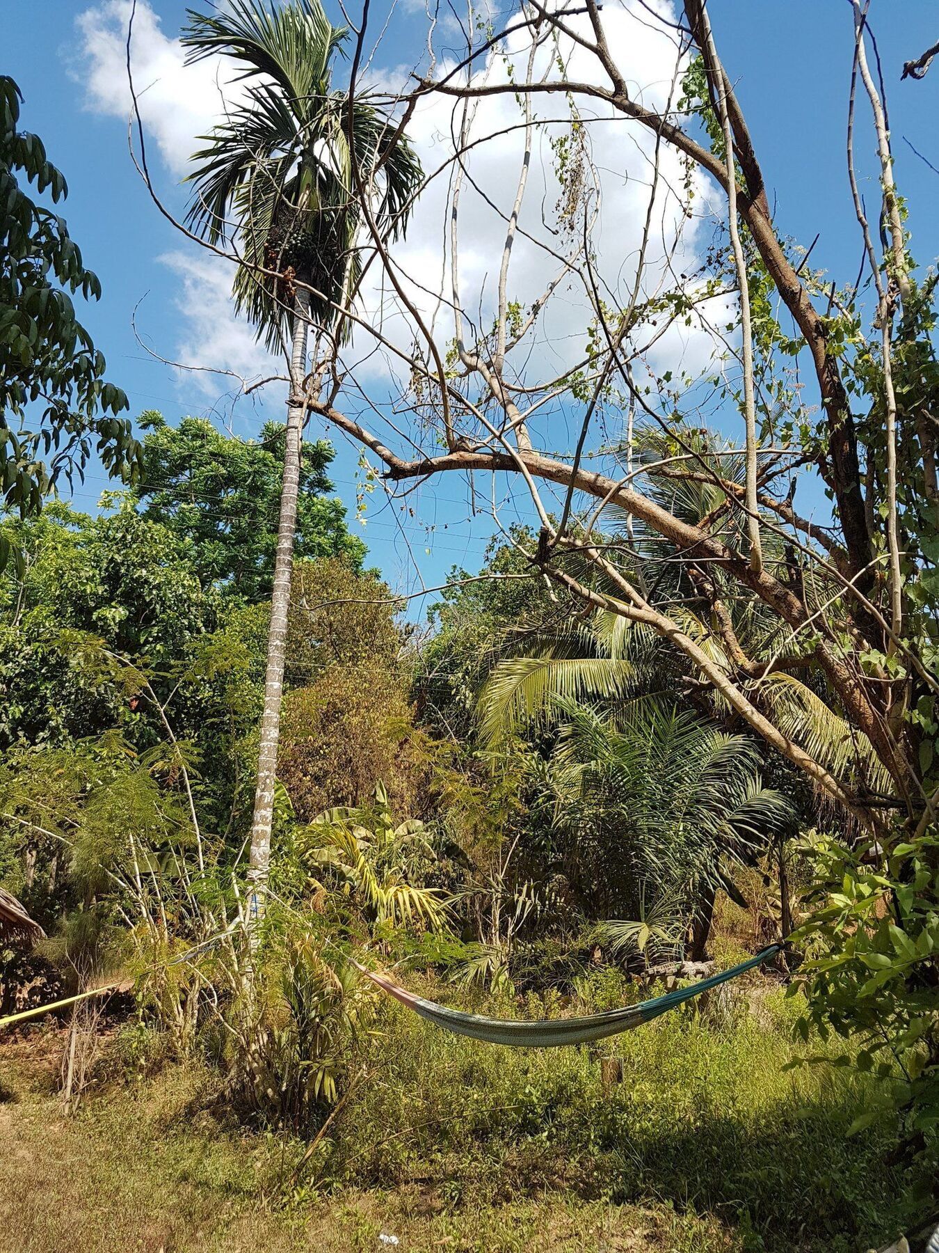 Slacklines Hostel Ko Lanta Dış mekan fotoğraf